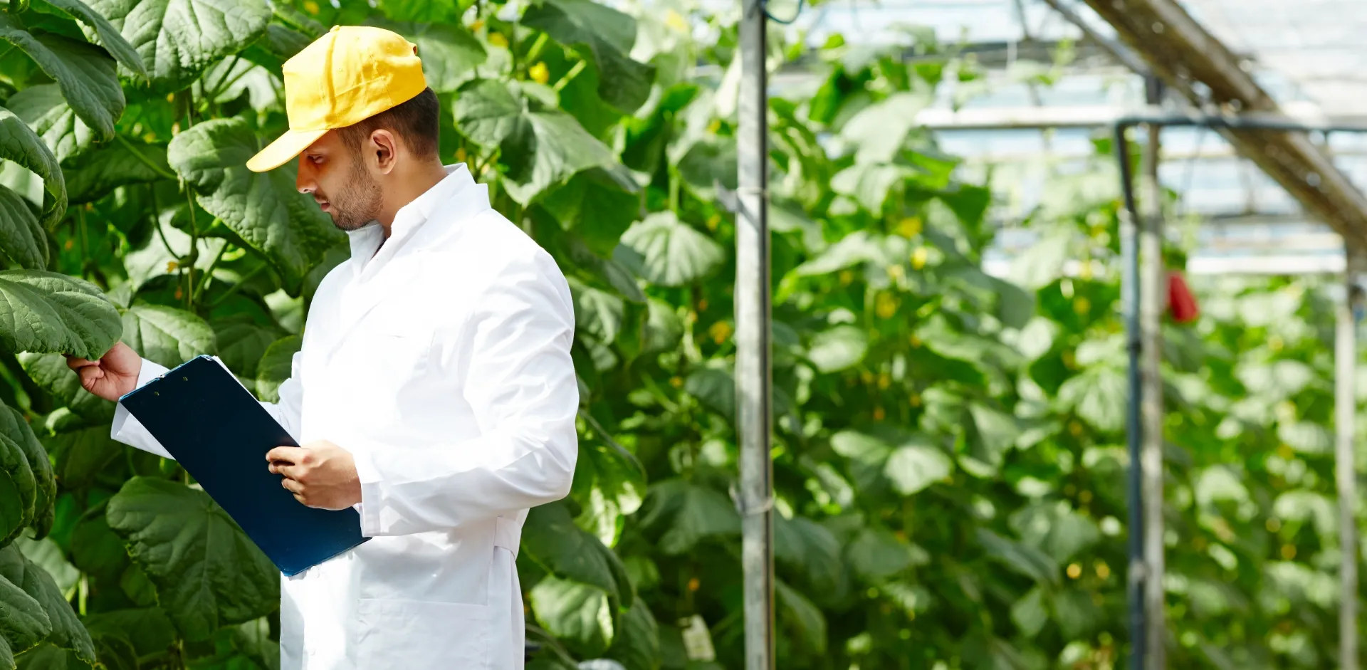 industrie-agro-alimentaire